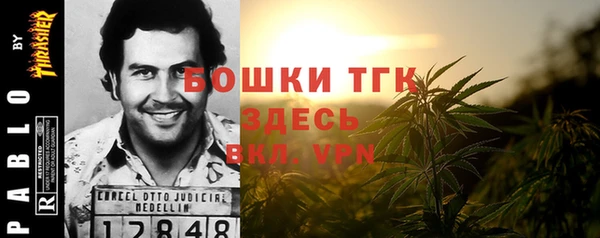 молекула духа Волосово