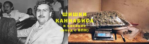 скорость Вяземский