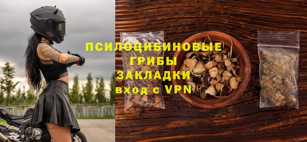 ПСИЛОЦИБИНОВЫЕ ГРИБЫ Вязники