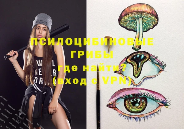 ПСИЛОЦИБИНОВЫЕ ГРИБЫ Вязники