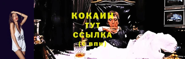 ПСИЛОЦИБИНОВЫЕ ГРИБЫ Вязники