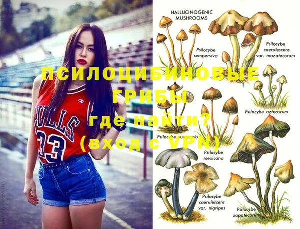 скорость Вяземский
