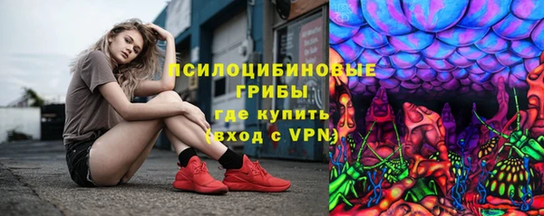 ПСИЛОЦИБИНОВЫЕ ГРИБЫ Вязники