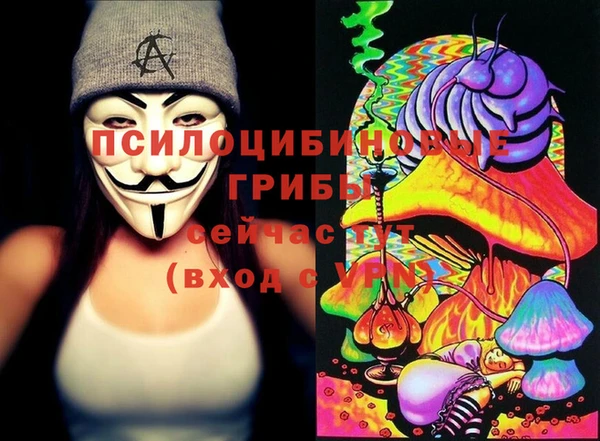 ПСИЛОЦИБИНОВЫЕ ГРИБЫ Вязники