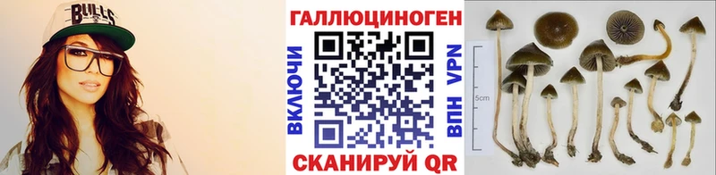 закладки Карабаш гидра ссылка Галлюциногенные грибы MAGIC MUSHROOMS